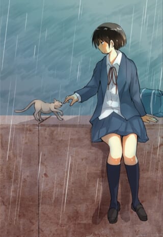 雨の中猫と触れ合う少女
