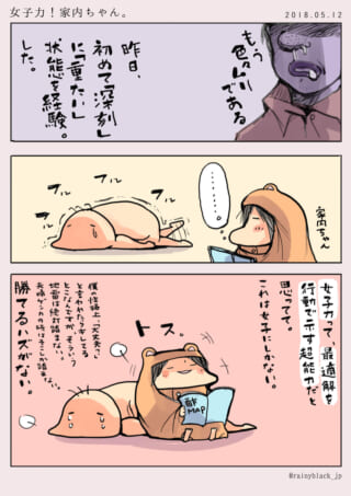 女子力マンガ、家内ちゃんの日常。