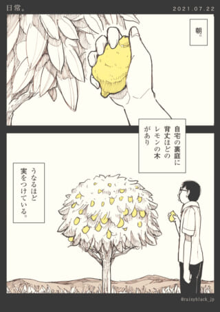 庭のレモン木と男性の朝