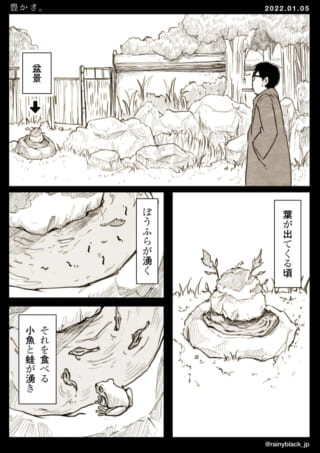 盆栽の観察と自然の営み