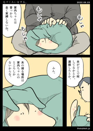 猫と過ごすリラックスタイム